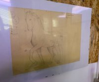 Disegno dal vero"Aula magna"
